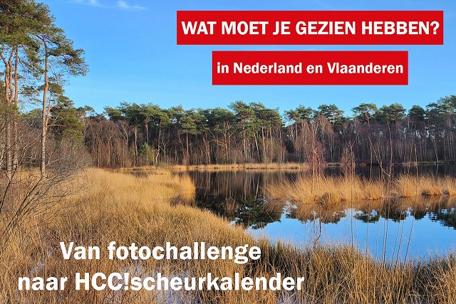 landschap meer in bos